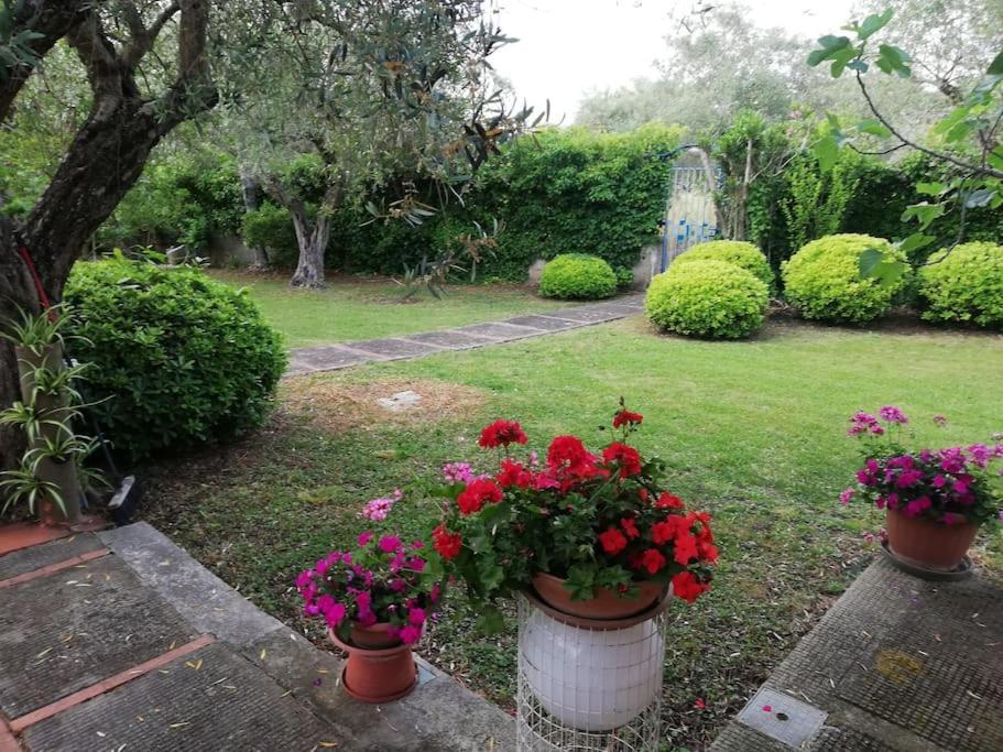 Villa Brezza Capaccio Exterior photo